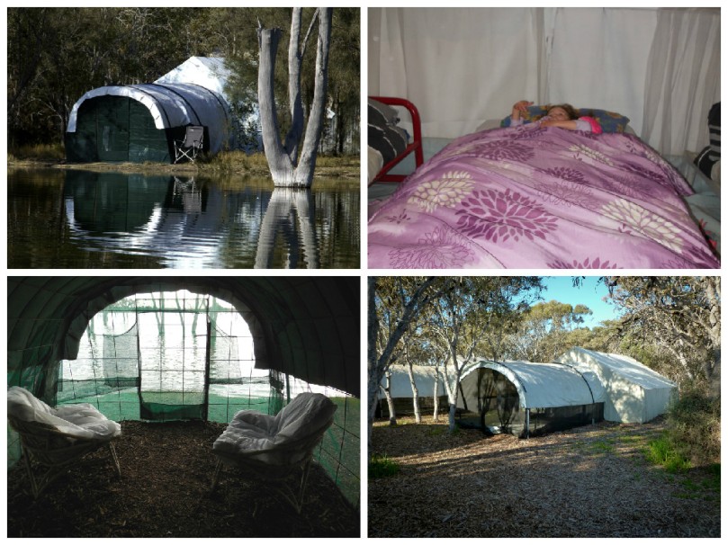 Boshack tents