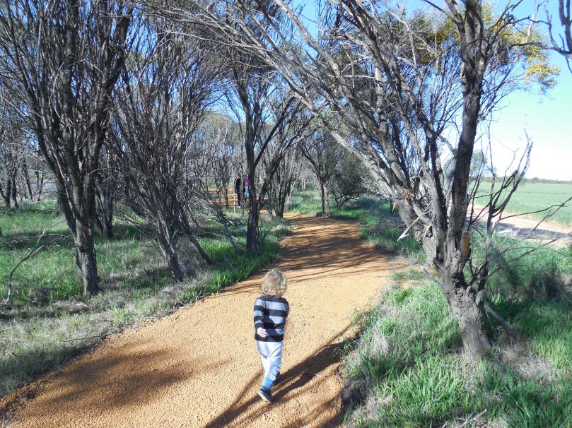 Carnamah Botanical Walk