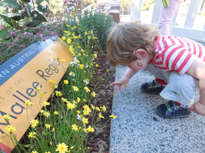 Smelling the flowers