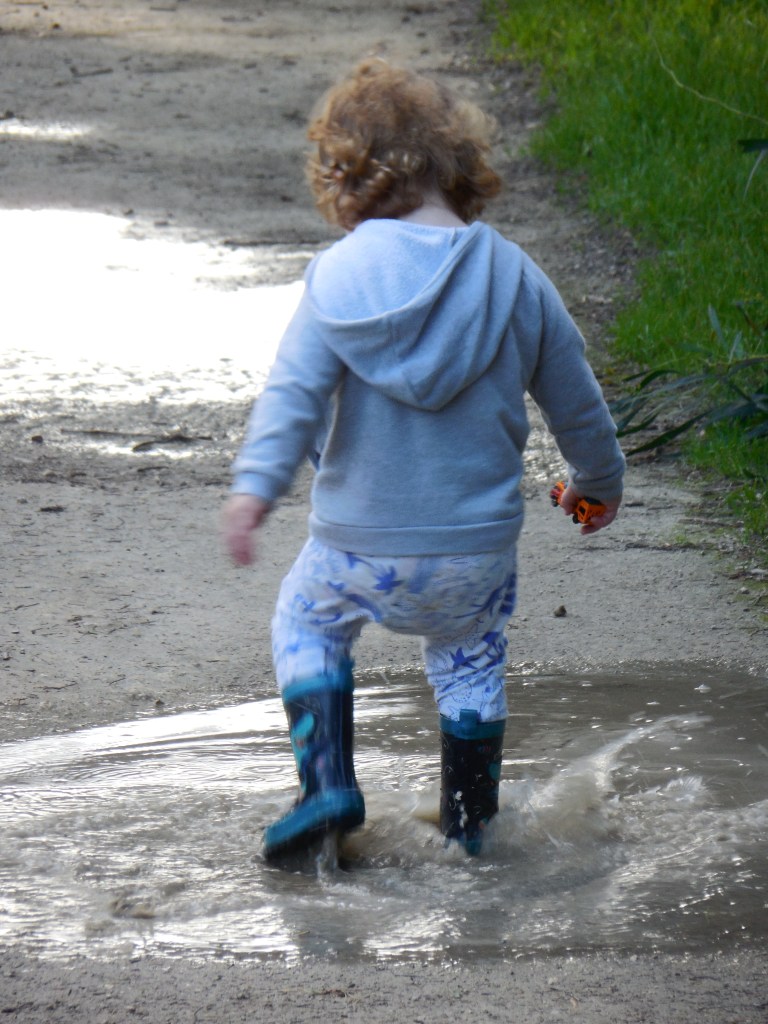 Muddy Puddles