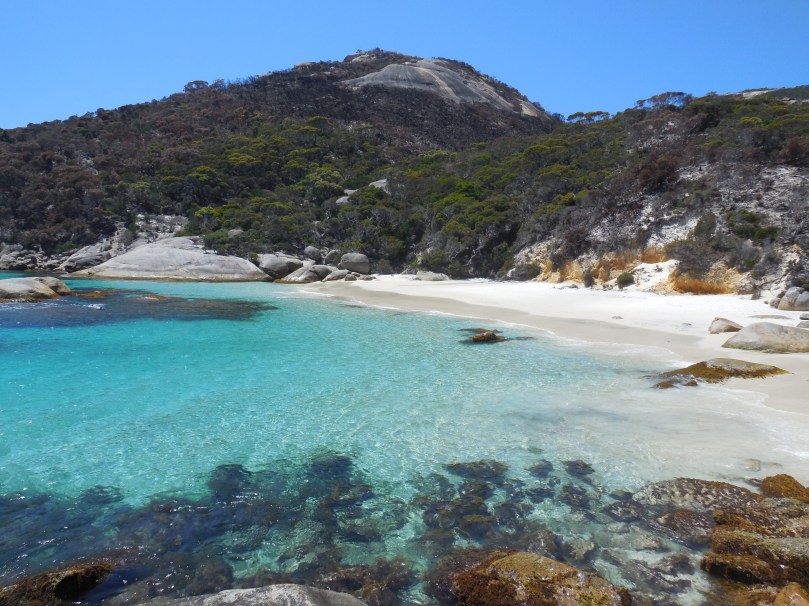 Christmas 2015 196.JPG