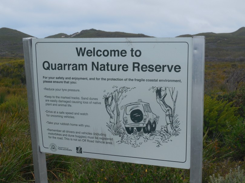 Christmas 2015 387.JPG