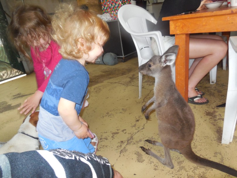 Christmas 2015 396.JPG