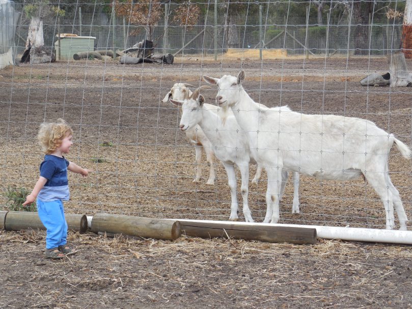 Christmas 2015 407.JPG