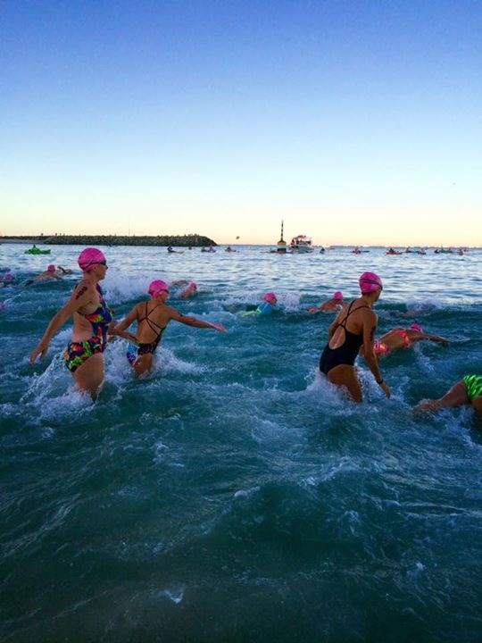 In the water at Swim to Rotto