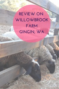 willowbroom farm review