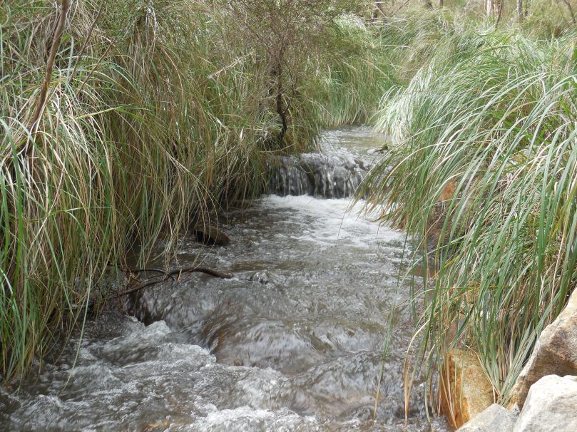 lesmurdie falls 020.JPG