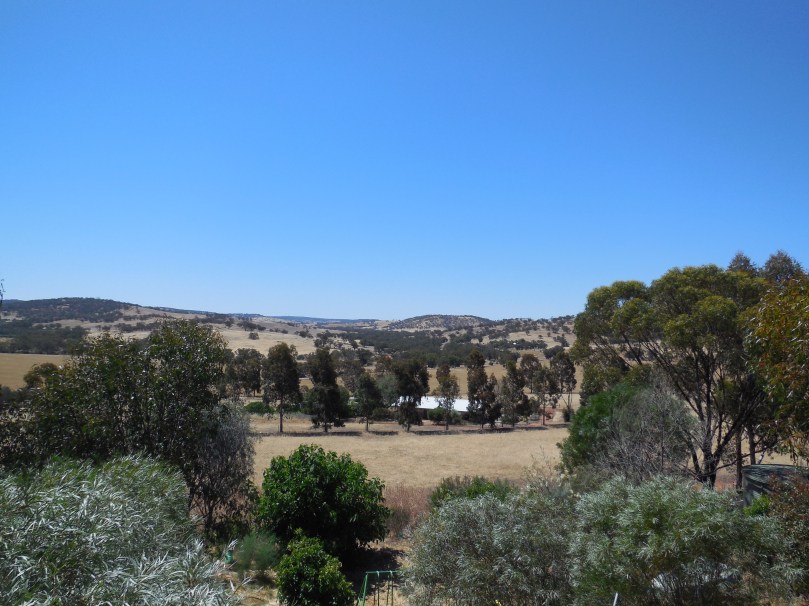 Toodyay View.JPG