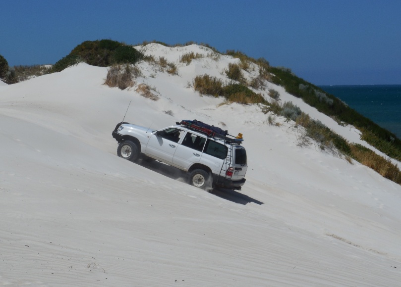 Ledge Point Sand Dune.jpg