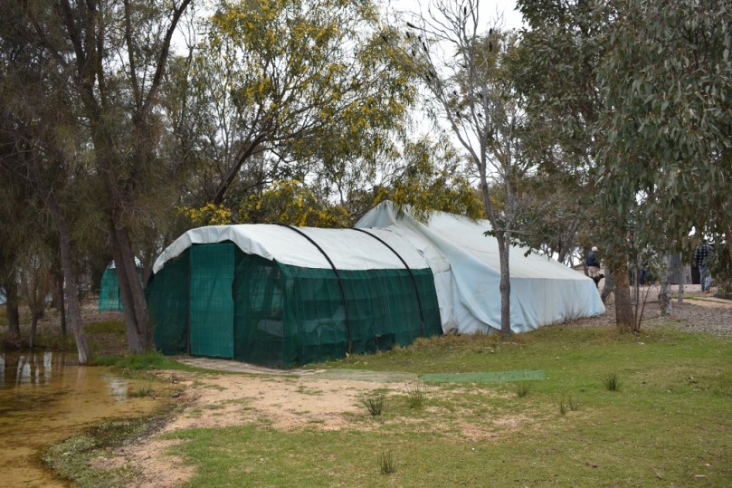 Boshack Outback Glamper.jpg