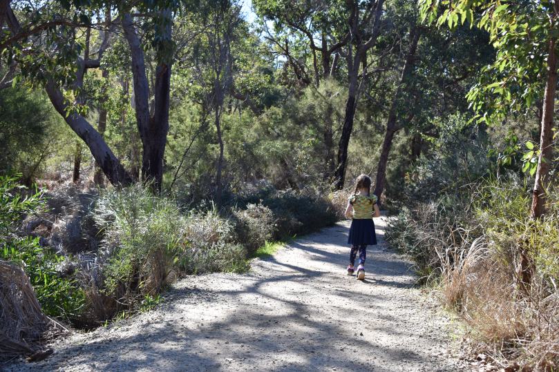 Paths at Lesmurdie Falls