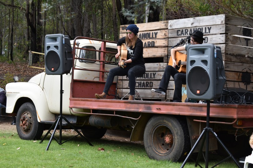 Music at Dwellingup Pumpkin Festival