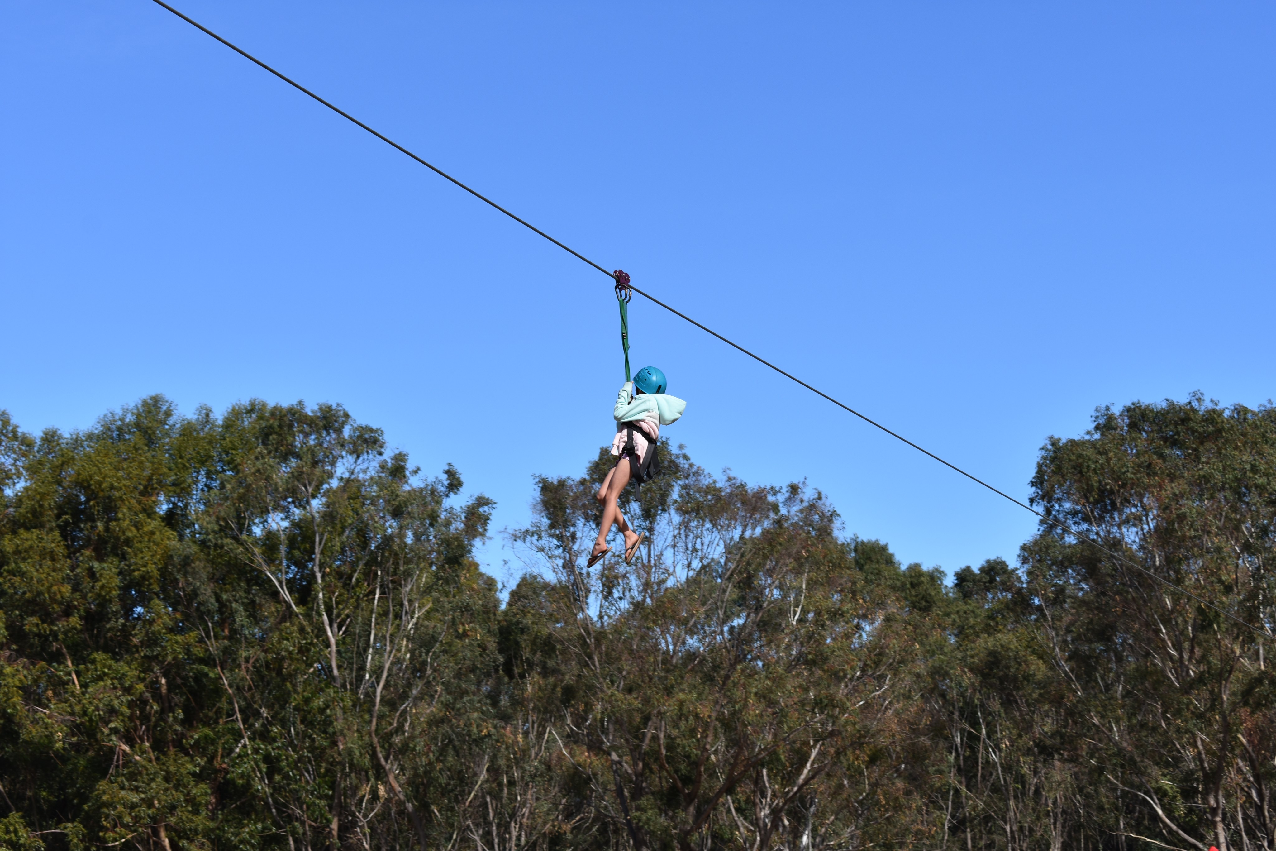 Flying Fox at Ring of Fire Campout